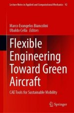 Flexible Engineering Toward Green Aircraft