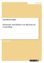 Potenziale und Risiken von Big Data im Controlling