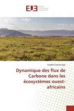 Dynamique des flux de Carbone dans les écosyst?mes ouest-africains