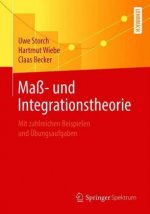 Mass- Und Integrationstheorie