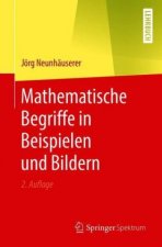 Mathematische Begriffe in Beispielen Und Bildern