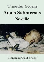 Aquis Submersus (Grossdruck)