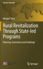Rural Revitalization Through State-led Programs