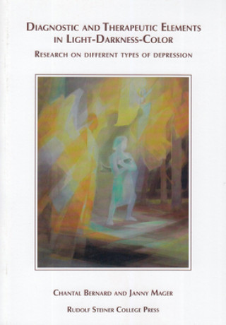 Diagnostic and Therapeutic Elements in Light-Darkness-Color: Research on Different Types of Depression