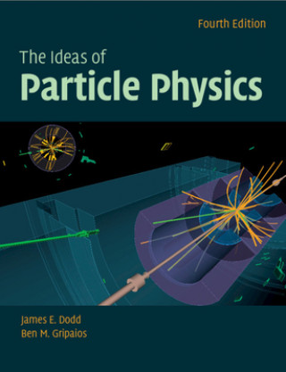 Ideas of Particle Physics