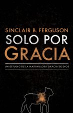 Solo Por Gracia: ?Cómo Me Asombra La Gracia de Dios!