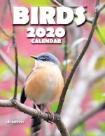 Birds 2020 Calendar (UK Edition)