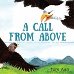 Call from Above