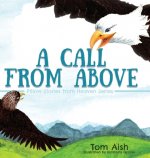 Call from Above