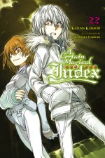 Certain Magical Index, Vol. 22 (light novel)