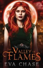 Valley of Flames