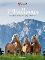 L'Haflinger