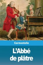 L'Abbe de platre