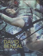 THE ART OF DAVID BENZAL
