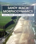Sandy Beach Morphodynamics