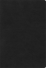 Rvr 1960 Biblia de Estudio Arcoiris, Negro Símil Piel