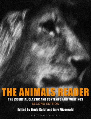 Animals Reader