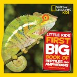 Little Kids First Big Book of Reptiles and Amphibians