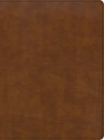 CSB Holy Land Illustrated Bible, British Tan Leathertouch, Indexed: A Visual Exploration of the People, Places, and Things of Scripture