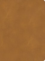 CSB Holy Land Illustrated Bible, Ginger Leathertouch, Indexed: A Visual Exploration of the People, Places, and Things of Scripture