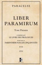 Liber Paramirum: comprenant le Livre des Prologues suivi de la Parenth?se sur les Cinq Entités