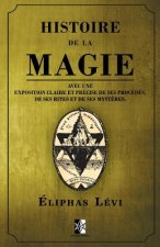 Histoire de la Magie: avec une exposition claire et précise de ses procédés, de ses rites et de ses myst?res.