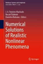 Numerical Solutions of Realistic Nonlinear Phenomena