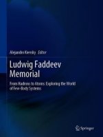 Ludwig Faddeev Memorial