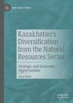 Kazakhstan's Diversification from the Natural Resources Sector