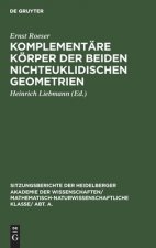 Komplementare Koerper Der Beiden Nichteuklidischen Geometrien