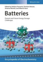 Batteries - Present and Future Energy Storage Challenges