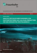 Analyse der Rauschmechanismen von Photodetektoren aus InAs/GaSb-Übergittern für den infraroten Spektralbereich.