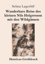 Wunderbare Reise des kleinen Nils Holgersson mit den Wildgansen (Grossdruck)