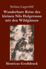 Wunderbare Reise des kleinen Nils Holgersson mit den Wildgansen (Grossdruck)