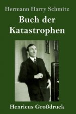 Buch der Katastrophen (Grossdruck)