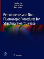 Percutaneous and Non-fluoroscopical (PAN) Procedure for Structural Heart Disease