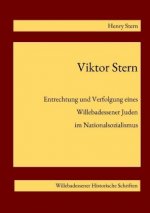 Viktor Stern