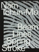 Nam Tchun-Mo: Beam Lines Spring Stroke