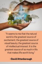 ''It seems to me that the natural world is the greatest source of excitement; the greatest source of visual beauty; the greatest source of intellectua