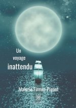 Un voyage inattendu