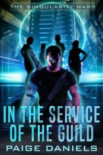 In the Service of the Guild: The Singularity Wars