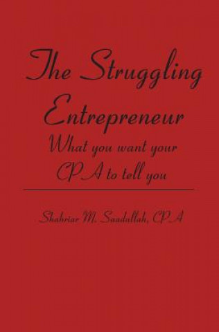 The Struggling Entrepreneur: What you want your CPA to tell you