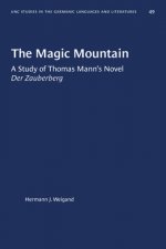 Magic Mountain