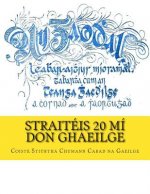 Straitéis 20 Mí don Ghaeilge