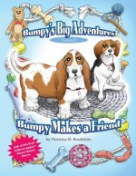 Bumpy's Big Adventures Bumpy Makes a Friend: Bumpy's Big Adventures Bumpy Makes a Friend