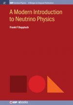 Modern Introduction to Neutrino Physics