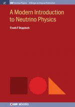 Modern Introduction to Neutrino Physics