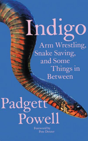 Indigo: Arm Wrestling, Snake Saving, and Some Things in Between