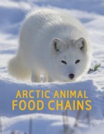 Arctic Animal Food Chains