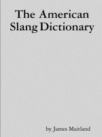 American Slang Dictionary